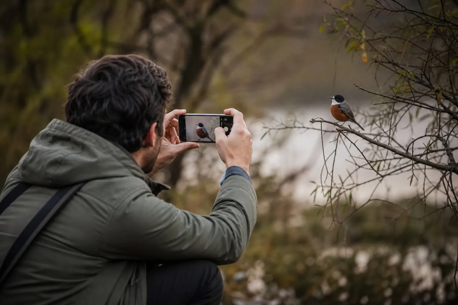 Como fotografar pássaros com celular sem espantar as aves